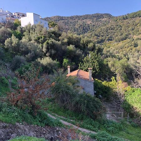 Molino De Santos Villa Benarrabá Eksteriør bilde