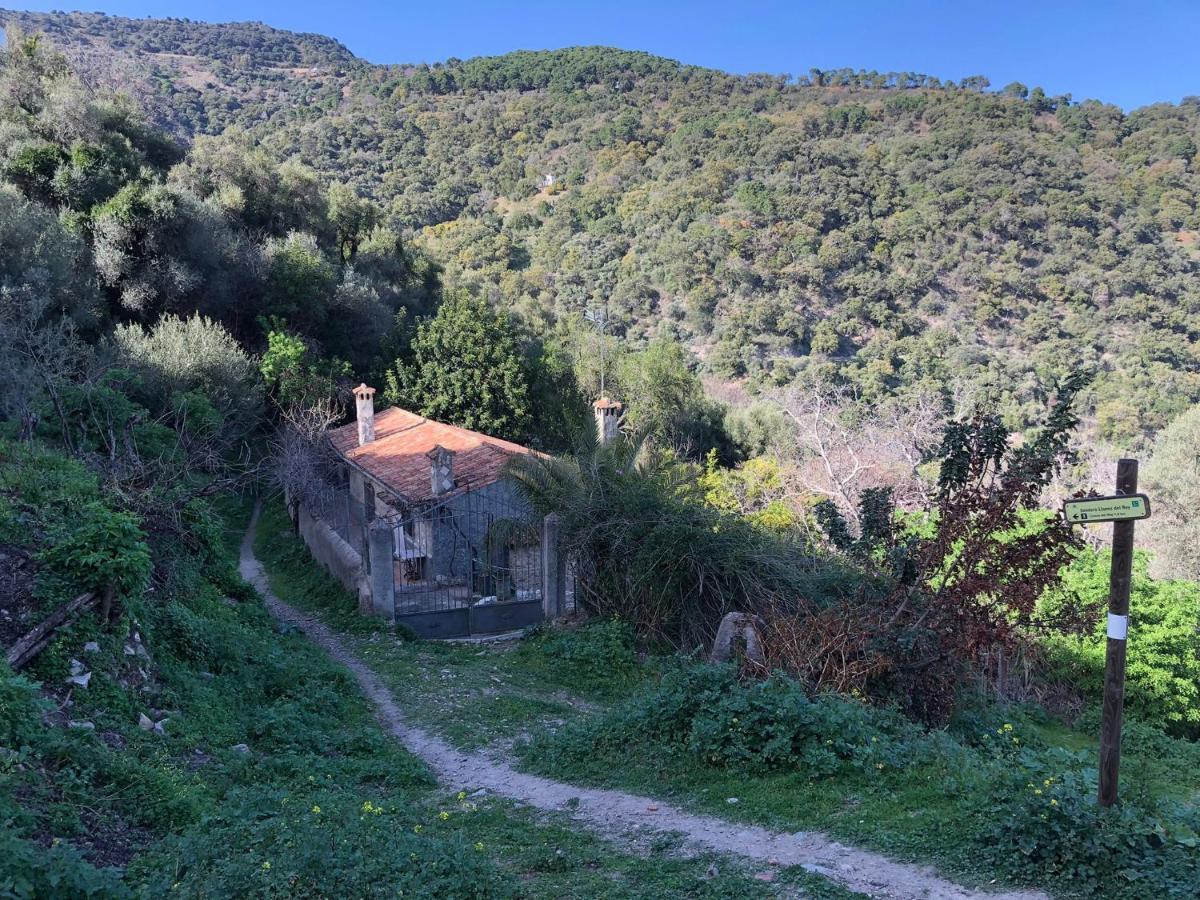 Molino De Santos Villa Benarrabá Eksteriør bilde