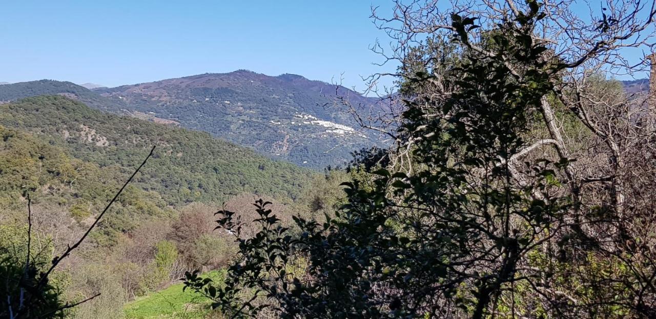 Molino De Santos Villa Benarrabá Eksteriør bilde