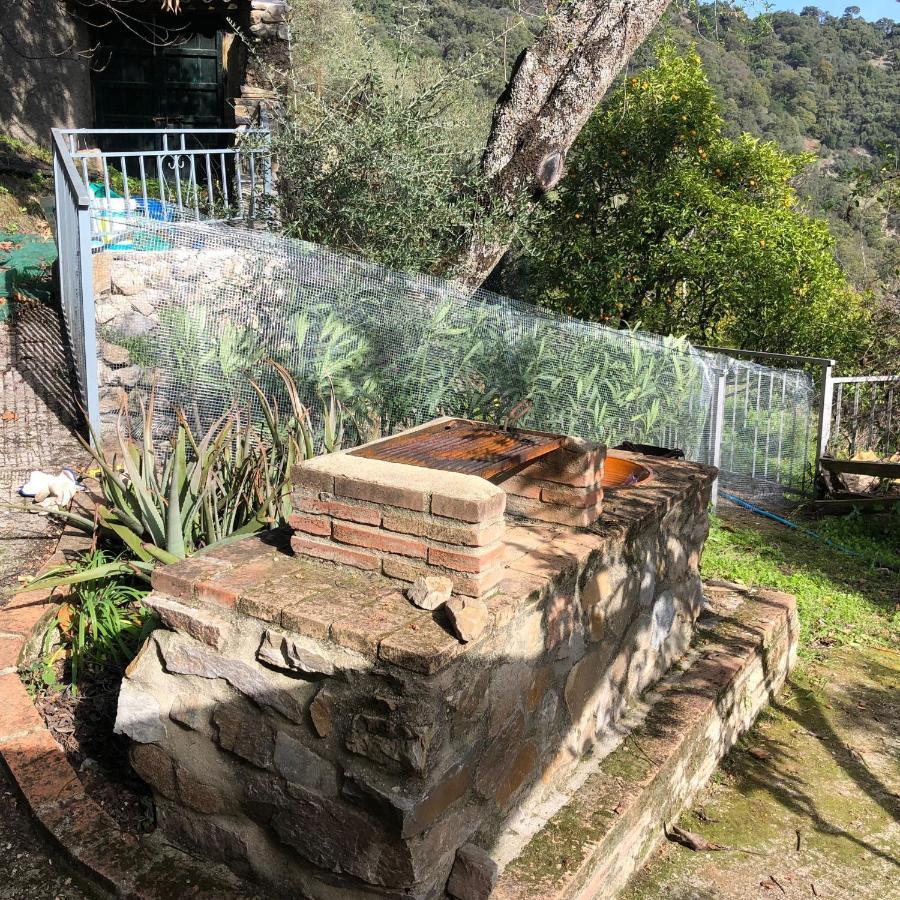 Molino De Santos Villa Benarrabá Eksteriør bilde
