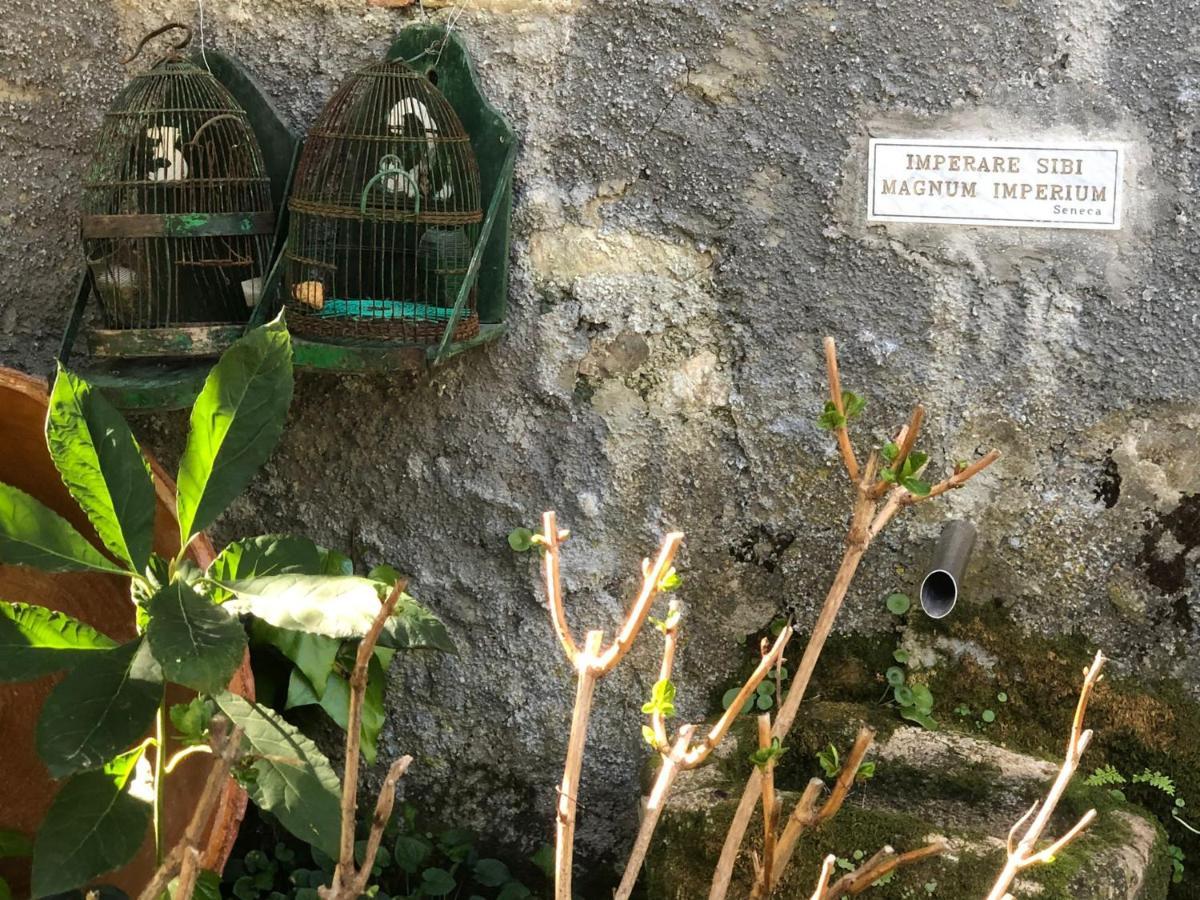Molino De Santos Villa Benarrabá Eksteriør bilde